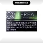 Terea Black Yellow Menthol Japan