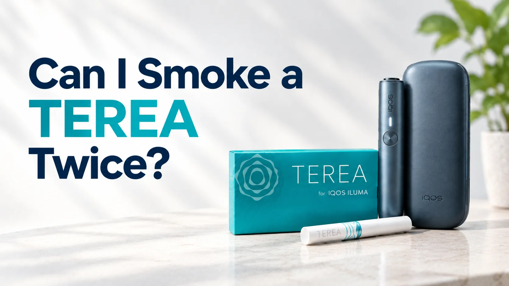Can I smoke a TEREA twice