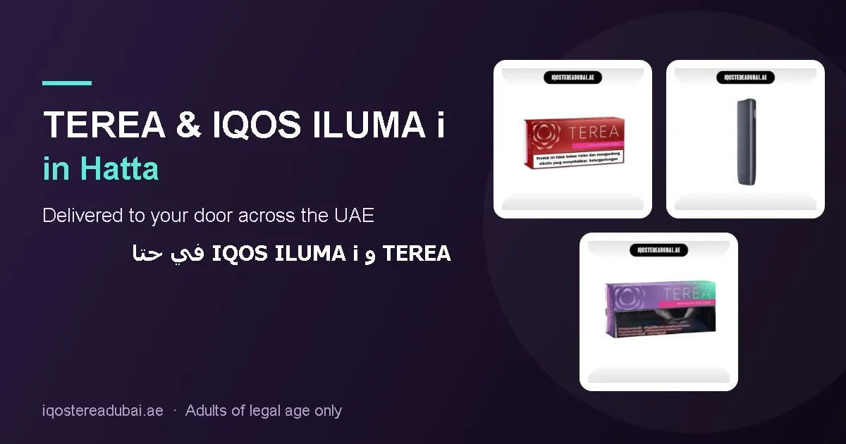 TEREA Hatta – TEREA sticks and IQOS ILUMA i devices delivered in Hatta, Dubai, UAE