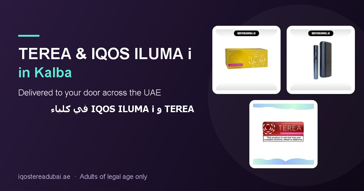 TEREA Kalba – TEREA sticks and IQOS ILUMA i devices delivered in Kalba, Sharjah, UAE
